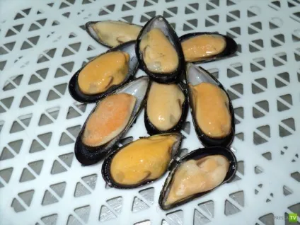 Seafood guide мідії (10 фото)