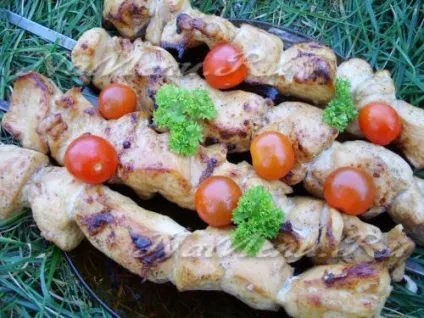Шашлик з курячої грудки топ-5 рецептів (рецептів) Шашлик з курячої грудки топ-5 рецептів