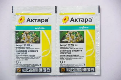 Щитівка на кімнатних рослинах методи боротьби (рослинах) Щитівка на кімнатних рослинах методи боротьби
