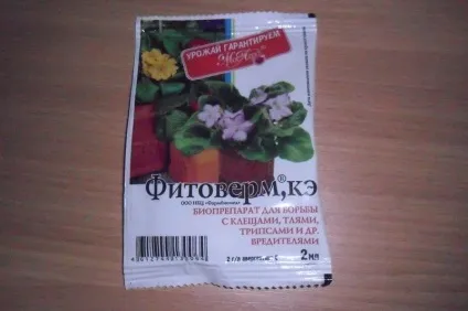 Щитівка на кімнатних рослинах методи боротьби (рослинах) Щитівка на кімнатних рослинах методи боротьби