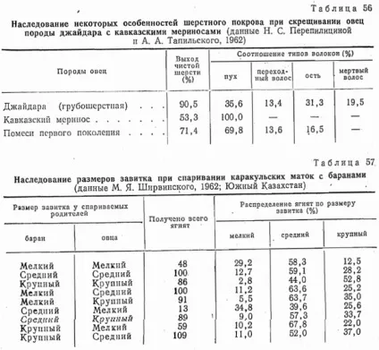 шерстна продуктивність