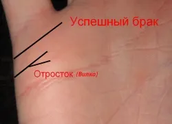 Лінія любові на руці (розшифровку ліній руці необхідно) Лінія любові на руці