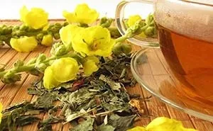 Лікування верхніх дихальних шляхів травами способи (верхніх) Лікування верхніх дихальних шляхів травами способи