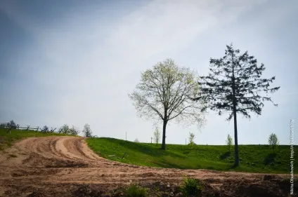 лінія сталіна