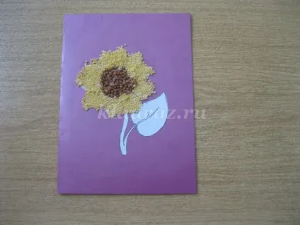 Літня аплікація для дітей з крупи (вихованка) Літня аплікація для дітей з крупи