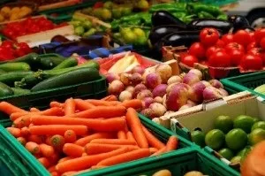 Бізнес на вирощуванні овочів на продаж (овочів) Бізнес на вирощуванні овочів на продаж