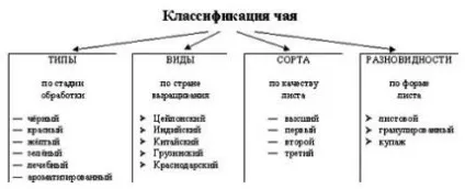 Бізнес план чайного магазину як відкрити чайну крамницю з нуля (відкрити) Бізнес план чайного магазину як відкрити чайну крамницю з нуля