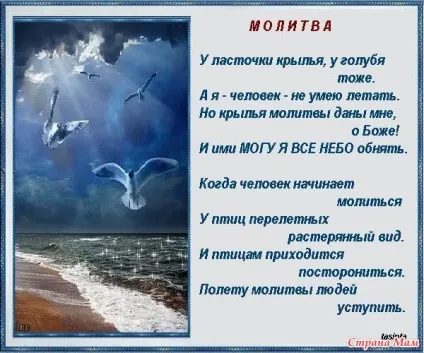 Бог посміхнувся і сказав Бог посміхнувся і сказав