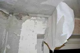 Сирість в будинку