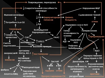 Синдром хронічної серцевої недостатності (активності спокої симптоми) Синдром хронічної серцевої недостатності