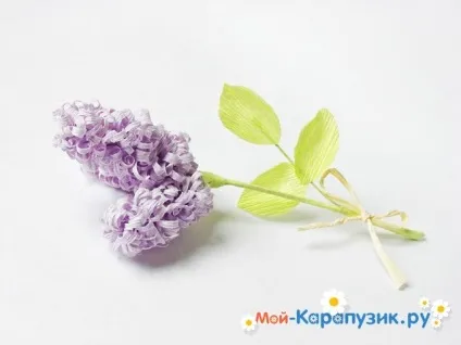 Бузок з паперу своїми руками (паперу) Бузок з паперу своїми руками