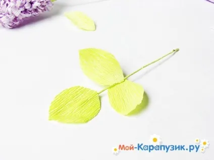 Бузок з паперу своїми руками (своїми) Бузок з паперу своїми руками