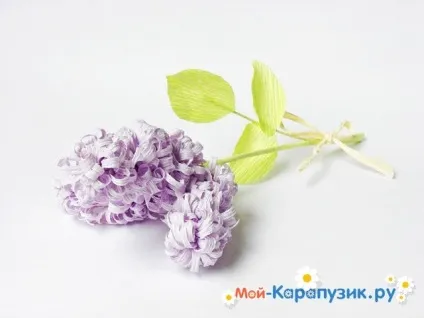 Бузок з паперу своїми руками (руками) Бузок з паперу своїми руками