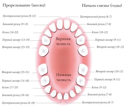 Симптоми прорізування зубів у дітей характерні ознаки