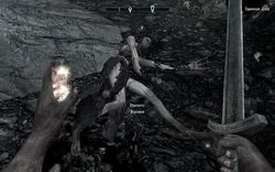 Skyrim - диво природи
