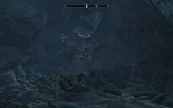 Skyrim - диво природи