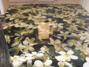 Скільки сохне наливна підлога фактори, що впливають на час висихання (висихання) Скільки сохне наливна підлога фактори, що впливають на час висихання