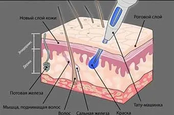 Скільки можна засмагати після татуажу брів і чому (після) Скільки можна засмагати після татуажу брів і чому