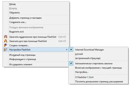 Завантажити flashgot final
