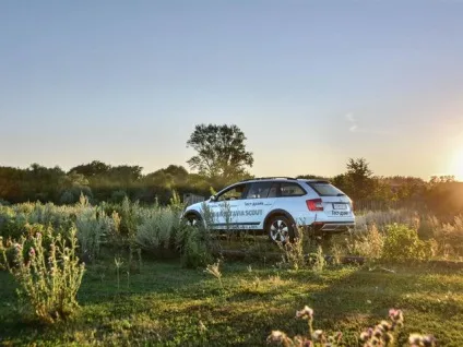 Skoda octavia scout