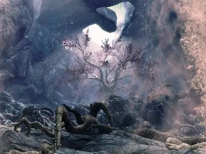 Skyrim квест чудо природи
