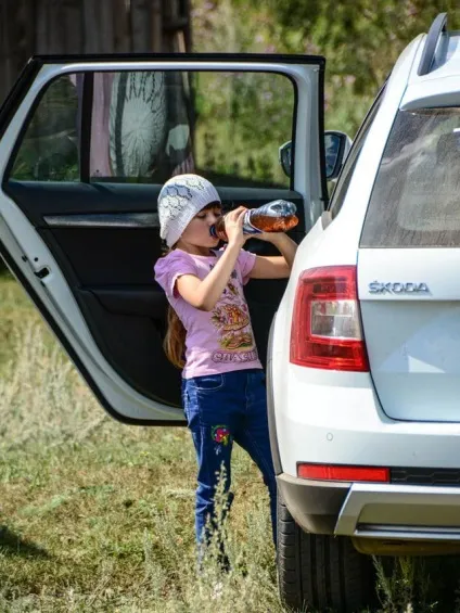 Skoda octavia scout