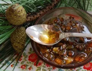 Смола сосни лікувальні властивості (сосни) Смола сосни лікувальні властивості