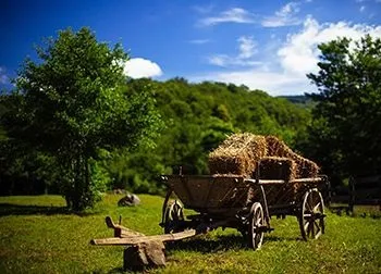 Зняти будинок в закарпаття (оренда будинку в закарпаття) Зняти будинок в закарпаття