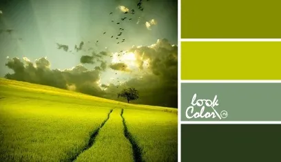 Поєднання з кольором шартрез, lookcolor (поєднання) Поєднання з кольором шартрез, lookcolor