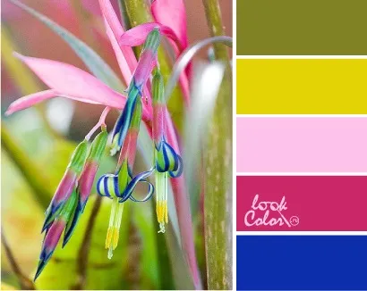 Поєднання з кольором шартрез, lookcolor (lookcolor) Поєднання з кольором шартрез, lookcolor