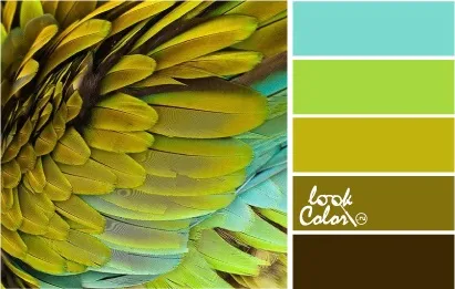 Поєднання з кольором шартрез, lookcolor (поєднання) Поєднання з кольором шартрез, lookcolor