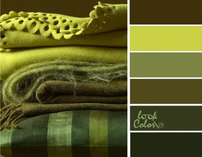 Поєднання з кольором шартрез, lookcolor (поєднання) Поєднання з кольором шартрез, lookcolor