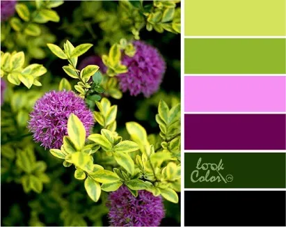 Поєднання з кольором шартрез, lookcolor (кольором) Поєднання з кольором шартрез, lookcolor