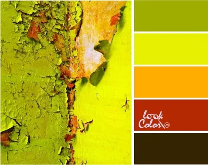 Поєднання з кольором шартрез, lookcolor (шартрез) Поєднання з кольором шартрез, lookcolor