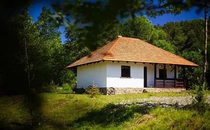 Зняти будинок в закарпаття (оренда будинку в закарпаття) Зняти будинок в закарпаття