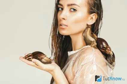 Слиз равлики для обличчя маски, масаж, огляд засобів