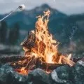 Сонник дрова, до чого сняться дрова уві сні (рубати, колоти)