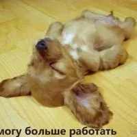 Судинна сітка на животі! Че за фото (сітка) Судинна сітка на животі! Че за фото