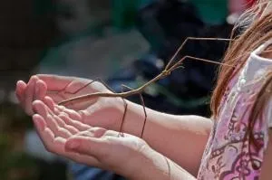 сучасна соціологія
