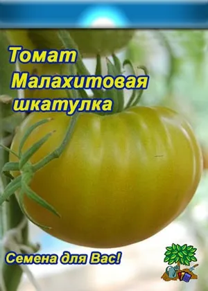 Сорт томатів малахітова шкатулка характеристики, фото і відгук - томатоманія (шкатулка) Сорт томатів малахітова шкатулка характеристики, фото і відгук - томатоманія