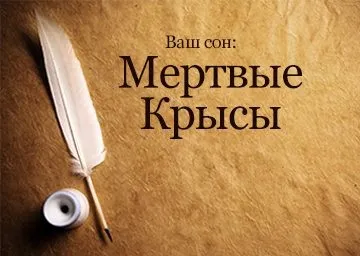 Сонник мертва пацюк до чого сняться померлі щури в будинку, квартирі бачити уві сні (сонник) Сонник мертва пацюк до чого сняться мертві щури в будинку, квартирі бачити уві сні