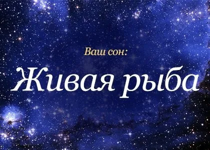 Сонник жива риба, до чого сниться велика жива риба дівчині в воді або акваріумі бачити уві сні (чого) Сонник жива риба, до чого сниться велика жива риба дівчині в воді або акваріумі бачити уві сні