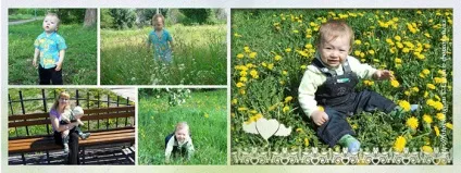 Поради щодо створення фотокниги (поради) Поради щодо створення фотокниги