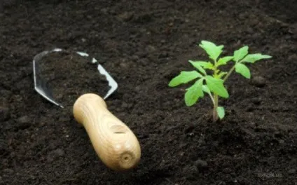 Поради про те, як збільшити обсяг врожаю за один сезон на невеликій ділянці землі відео (один) Поради про те, як збільшити обсяг врожаю за один сезон на невеликій ділянці землі відео
