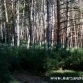 Спеціалізація міст-курортів Кавминвод (Кавмінвод) Спеціалізація міст-курортів Кавминвод