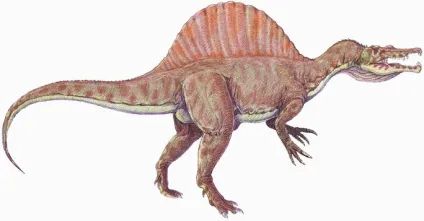 Спинозавр - spinosaurus, картинки спинозавр фото, ящери стародавні плазуни копалини рептилії (спинозавр) Спинозавр - spinosaurus, картинки спинозавр фото, ящери стародавні плазуни копалини рептилії