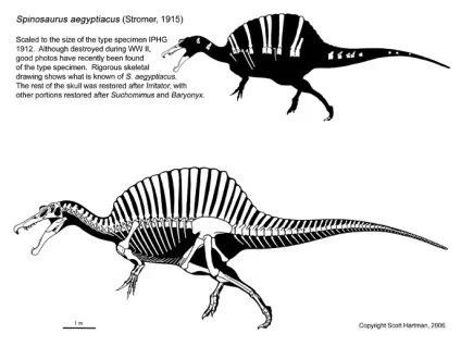 Спинозавр - spinosaurus, картинки спинозавр фото, ящери стародавні плазуни копалини рептилії (спинозавр spinosaurus картинки спинозавр фото ящери стародавні плазуни копалини рептилії dinozavri динозаври онлайн dinosaurs безкоштовно динозаври хижі фото динозаври юрського періоду доісторичні динозаври в картинках найбільший динозавр види динозаврів енциклопедія денозаври скелет динозавра назви динозаврів епоха іхтіозаври плезіозаври зверозубие ящери літаючі lbyjpfdhs скачати динозаври гри динозаври відігравати в динозаврів фільми про ді нозаври відео мультфільми про динозаврів мультики) Спинозавр - spinosaurus, картинки спинозавр фото, ящери стародавні плазуни копалини рептилії