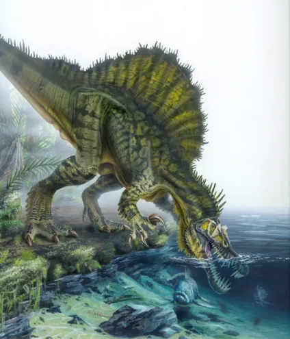 Спинозавр - spinosaurus, картинки спинозавр фото, ящери стародавні плазуни копалини рептилії (spinosaurus) Спинозавр - spinosaurus, картинки спинозавр фото, ящери стародавні плазуни копалини рептилії