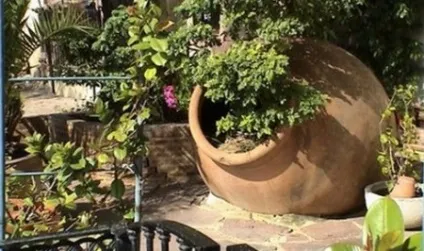 Середземноморський стиль вашої ділянки або південно-європейський сад вУкаіни, біля будинку (ділянка) Середземноморський стиль вашої ділянки або південно-європейський сад вУкаіни, біля будинку