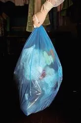 Будуємо будинок для бактерій, Кіт Шредінгера